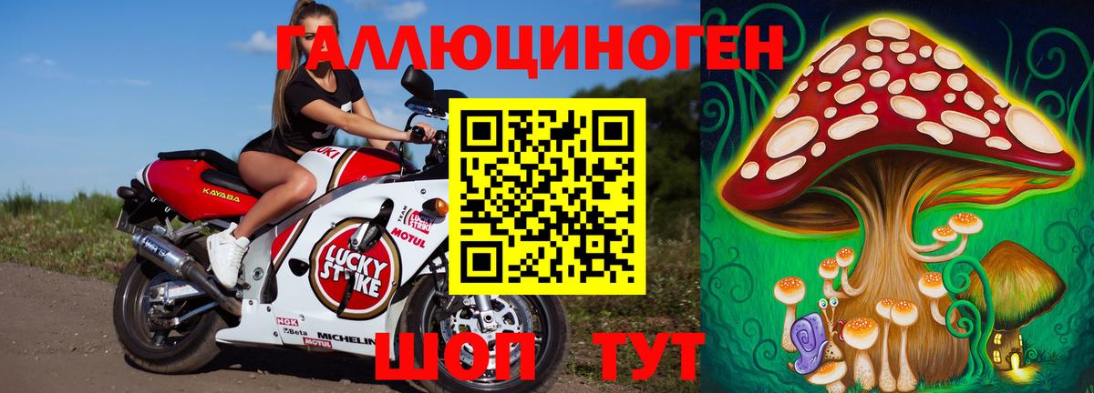Галлюциногенные грибы мицелий Можайск