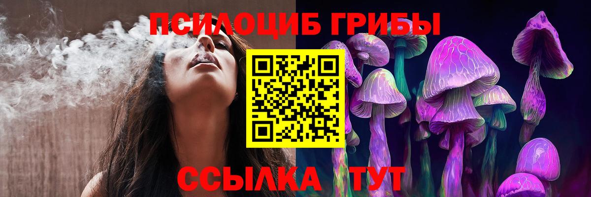 цены наркотик  Галлюциногенные грибы MAGIC MUSHROOMS  Вход с VPN  Можайск  Псилоцибиновые грибы Magic Shrooms 